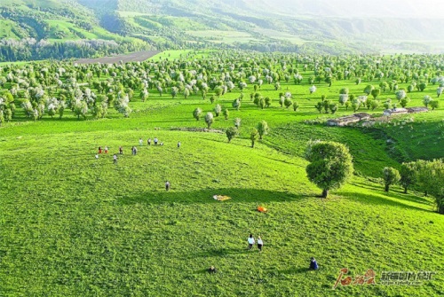 фотоны Жаң Чиңхуа түсірген