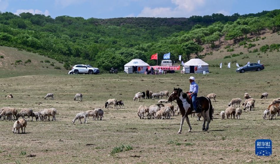 Кең жайлауда шарықтаған заманауи шопан әні
