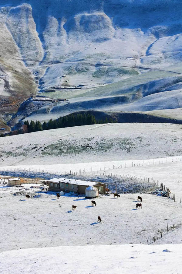 Қытайдың әйгілі ұлттық тарихи және мәдени ауылы Шоңқұштайда қар жауды