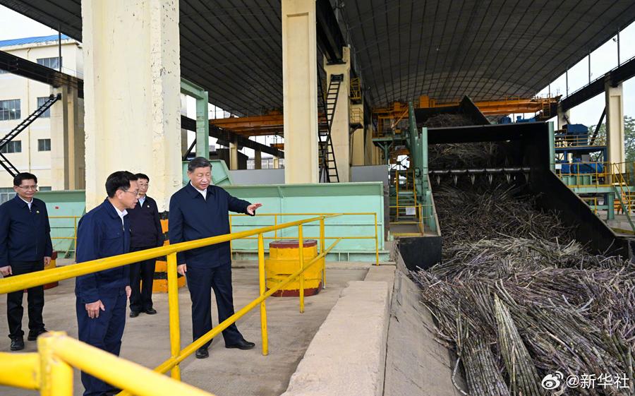 Си Цзиньпин Лайбинь қаласында қант өнеркәсібінің даму жағдайларымен танысты
