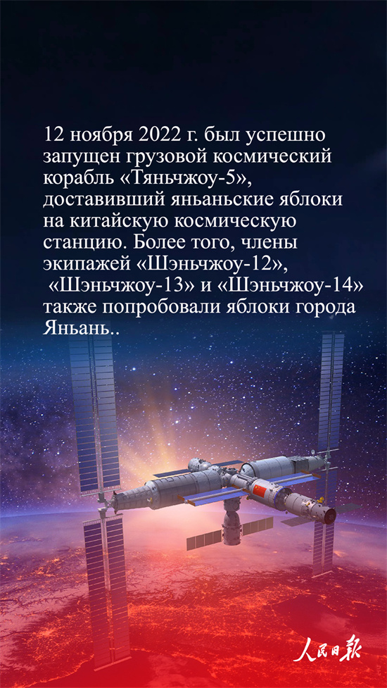 Қытай алмалары неге танымал?