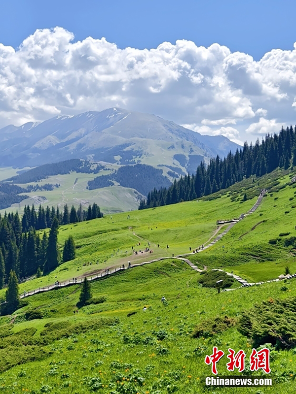 Бұратала, Шыңжаң: Мен оны көрдім, сонда болдым! Желіде бүкіл елге танымал болған Сайрам көлі