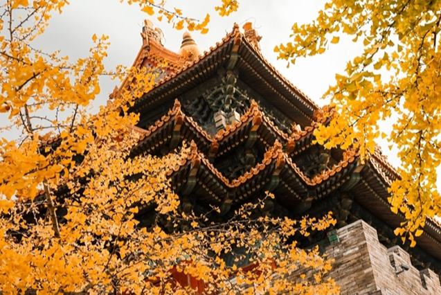 100 жылдық мерейтойына орай Гугун музейінің төрт мезгілдегі сұлулығын тамашалаңыз