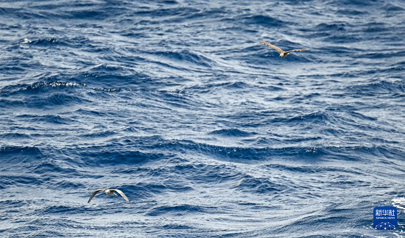 Оңтүстік Қытай теңізінің көркі көз тартады