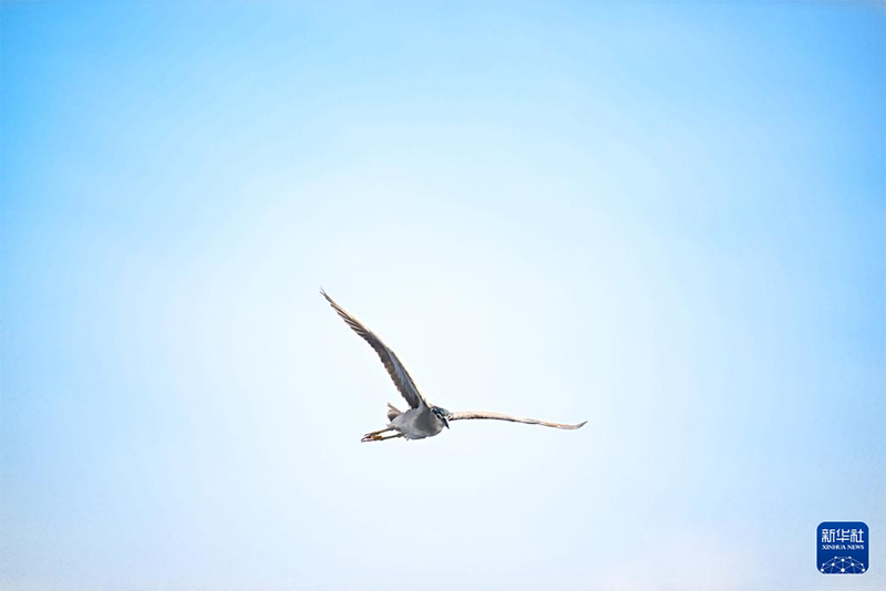 Оңтүстік Қытай теңізінің көркі көз тартады