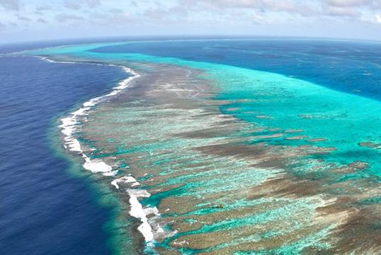 Оңтүстік Қытай теңізінің көркі көз тартады