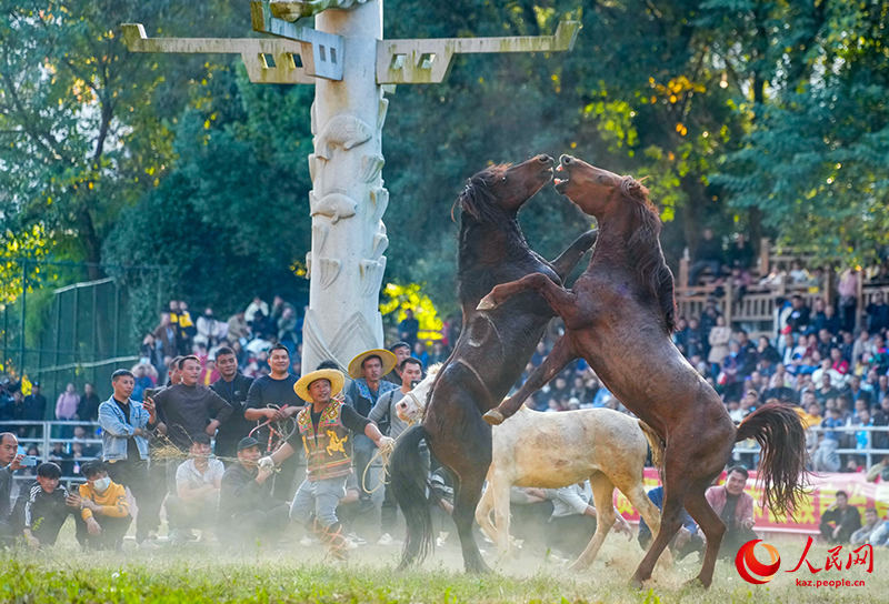 Гуансидің Жуншуй қаласында «Жылқы патшасы» байқауы өтті
