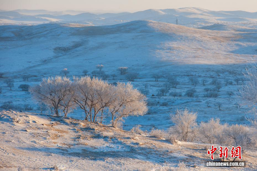 Силиньгол: қарлы алқаптағы тіршілік тынысы