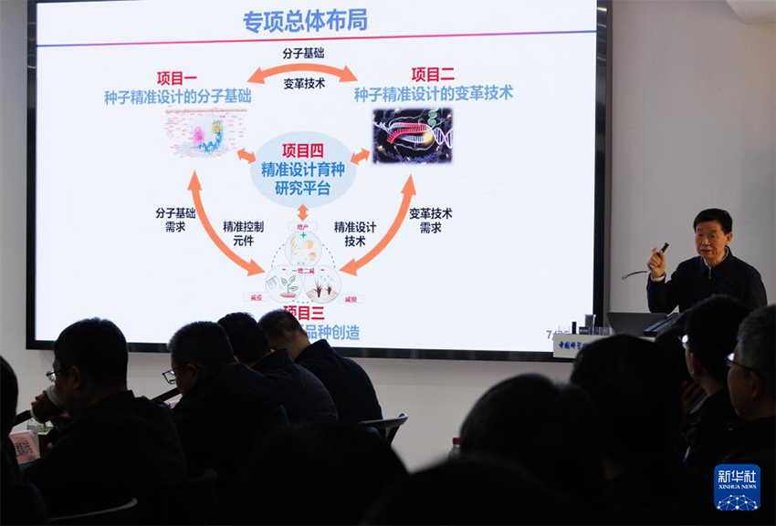 Бүкіл тізбектегі технология жетістігі – «бір тұқымды» дәл жобалау жүзеге асырылды