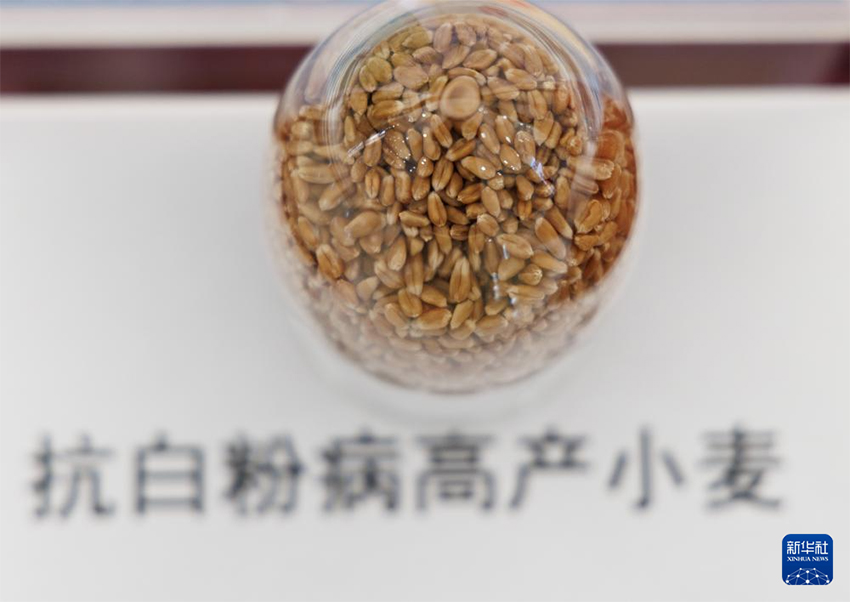 Бүкіл тізбектегі технология жетістігі – «бір тұқымды» дәл жобалау жүзеге асырылды