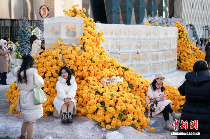 Хэйлунцзян өлкесінің Харбин қаласында «мұздатылған раушан» гүлдеді