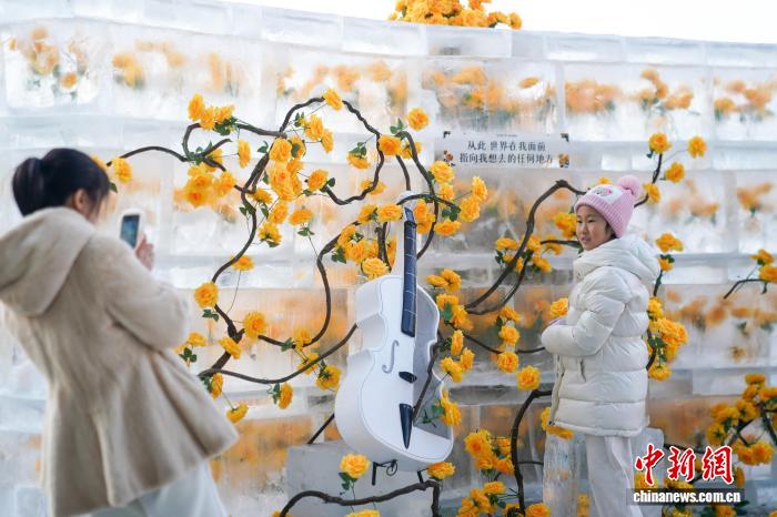 Хэйлунцзян өлкесінің Харбин қаласында «мұздатылған раушан» гүлдеді