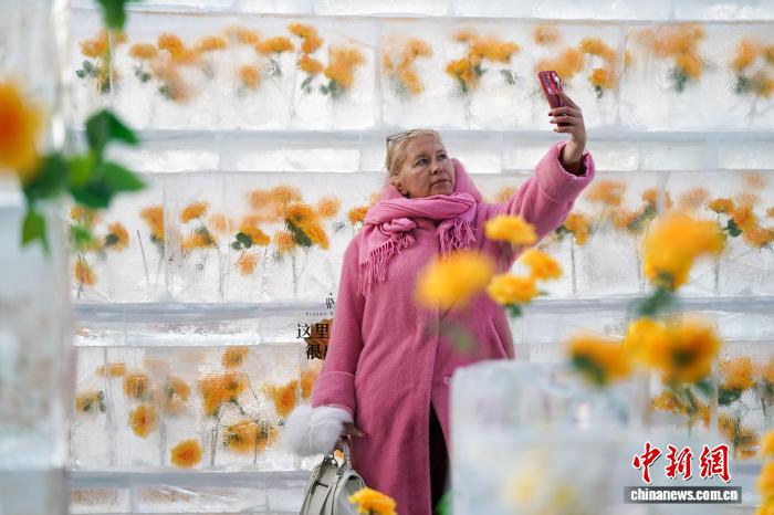 Хэйлунцзян өлкесінің Харбин қаласында «мұздатылған раушан» гүлдеді