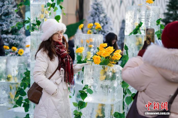 Хэйлунцзян өлкесінің Харбин қаласында «мұздатылған раушан» гүлдеді