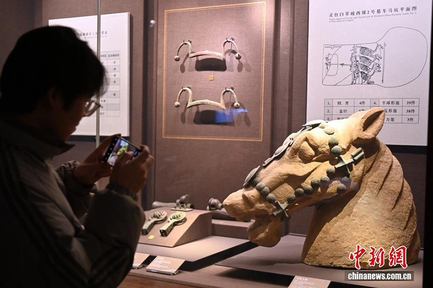 Ганьсу өлкесінің мұражайындағы Жібек жолының жылқы мәдениеті көрмесі