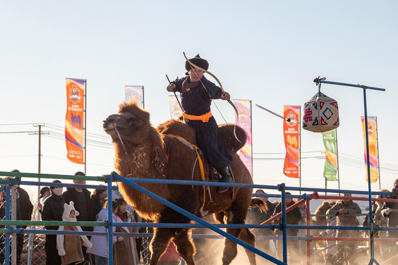 Ішкі Моңғол: 2025 жылғы Алашань түйе ойындары премьер-лигасы қызу жүріп жатыр