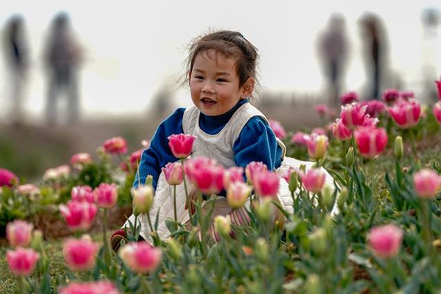 Көктем құшағындағы Дяньчи көлі туристерді өзіне тартты