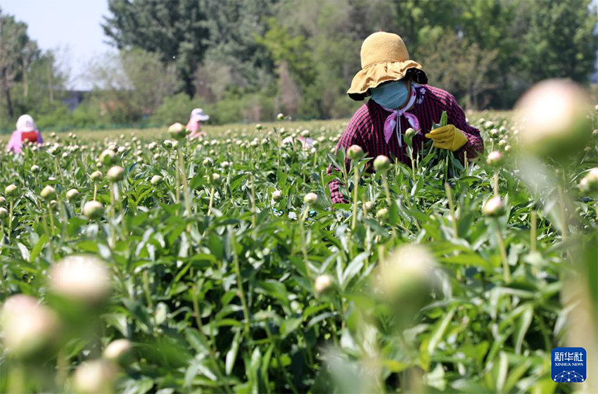 Жаз басы – ауыл шаруашылығы қарқынды жүріп жатыр