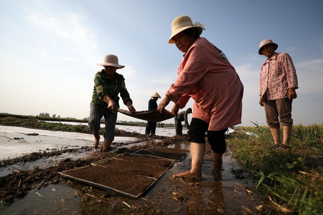 Әрбір көшет үшін тынымсыз еңбек керек