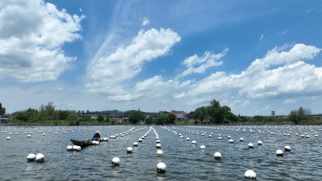 Інжу тізбегімен өрілген «көркем экономика»