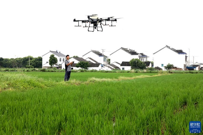 Жаздағы жиын-терім