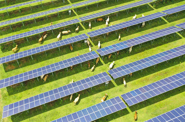 Хэнань өлкесі электр энергиясын өндіру мен мал өсірудің тізгінін тең жүргізуде