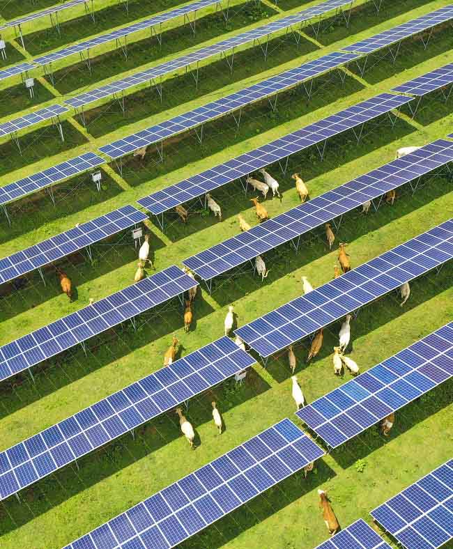 Хэнань өлкесі электр энергиясын өндіру мен мал өсірудің тізгінін тең жүргізуде