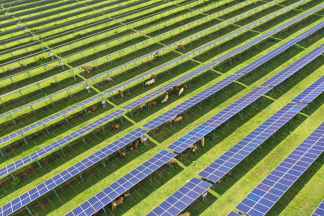 Хэнань өлкесі электр энергиясын өндіру мен мал өсірудің тізгінін тең жүргізуде