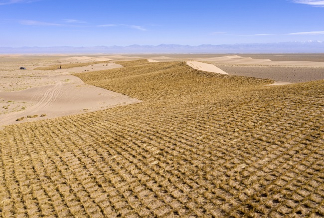 Ақсай Қазақ автономиялық ауданындағылар үстірттегі құмды тізгіндеумен әбігер