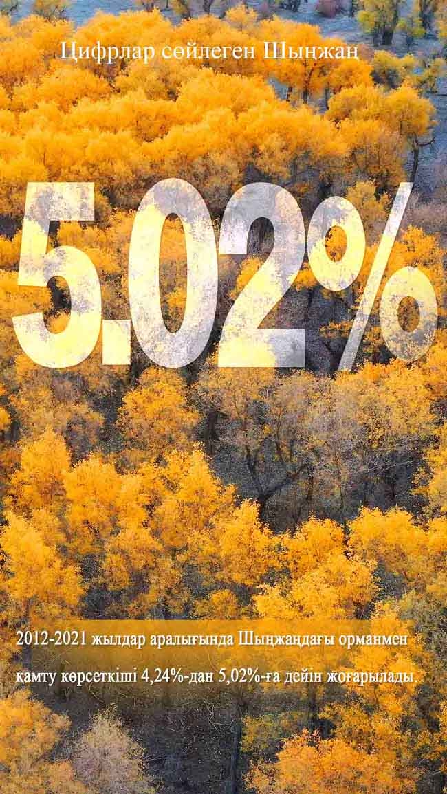 Шыңжаңның он жылдағы ұлы өзгерістері