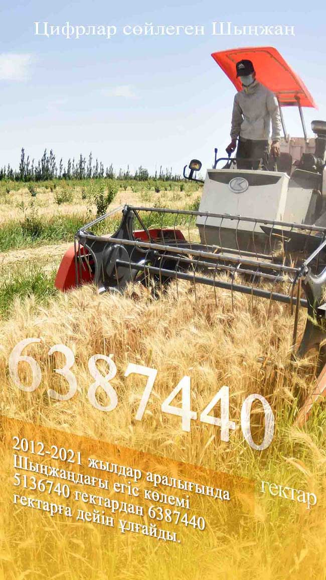 Шыңжаңның он жылдағы ұлы өзгерістері