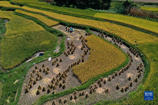 Күзгі жиын-терін