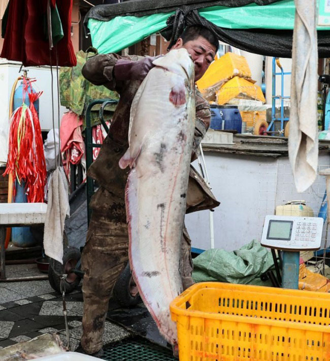 Қытайдың Шығыс полюс балық базары