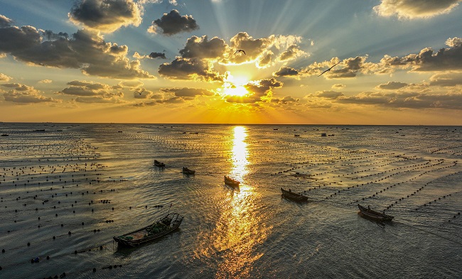 Шаньдон Рончен: Теңіздегі таңғы қарбалас