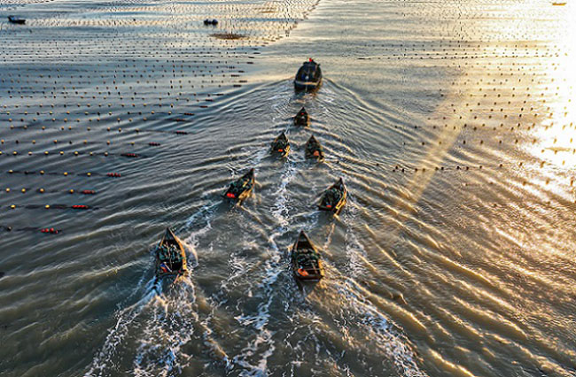 Шаньдон Рончен: Теңіздегі таңғы қарбалас