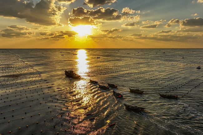 Шаньдон Рончен: Теңіздегі таңғы қарбалас
