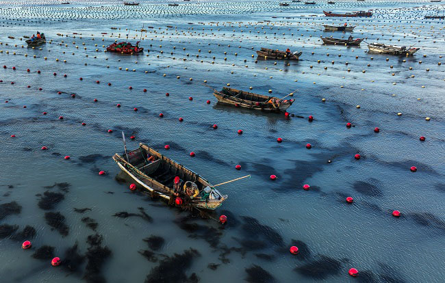 Шаньдон Рончен: Теңіздегі таңғы қарбалас