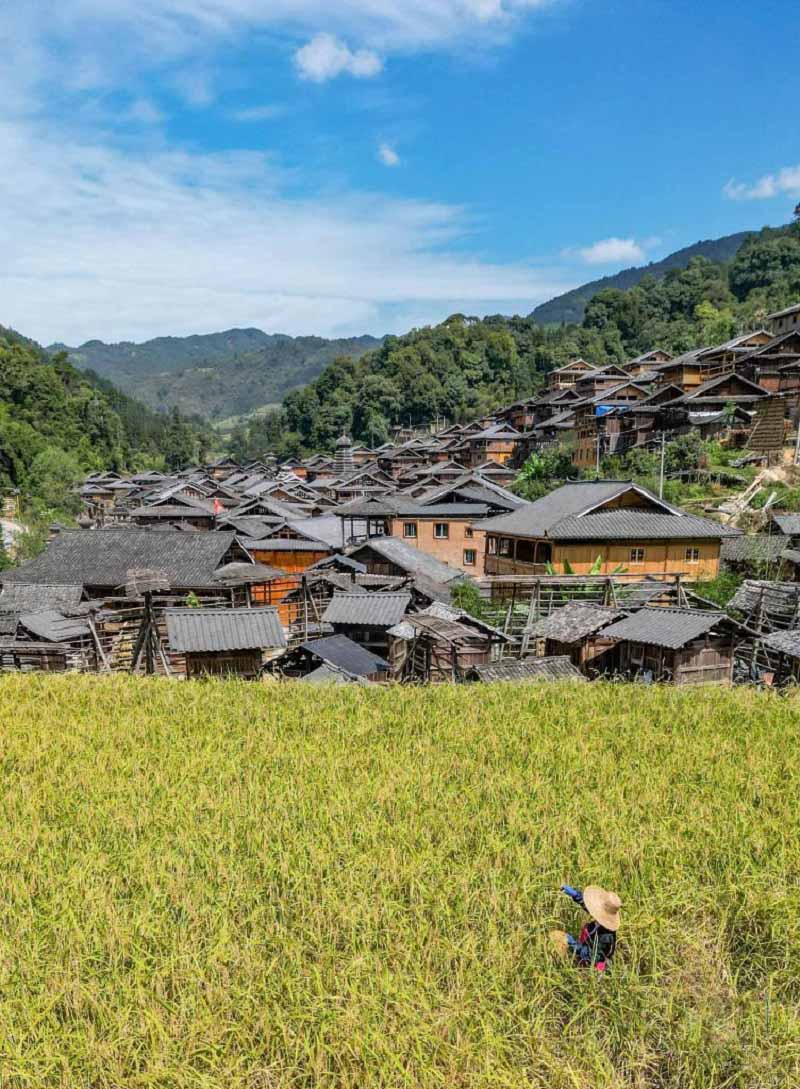 Алтын күздегі атызымыздағы мол өнім