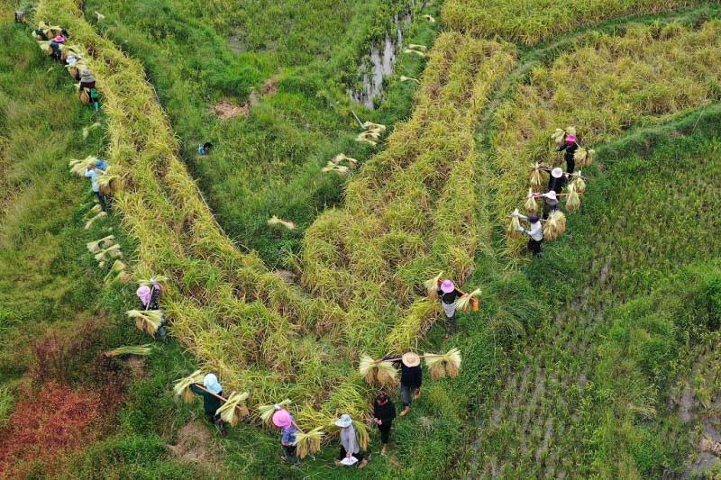 Алтын күздегі атызымыздағы мол өнім