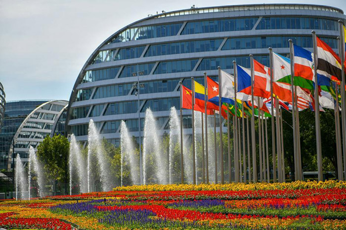  Қытайдың 5-інші халықаралық импорт көрмесінің алғашқы экспонаттары алаңға кірді