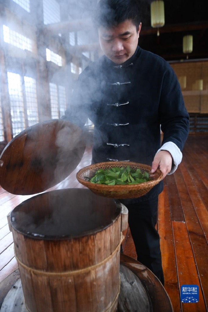 Чансин күлгін бамбук шайының хош иісі ғасырлар бойы аңқыды