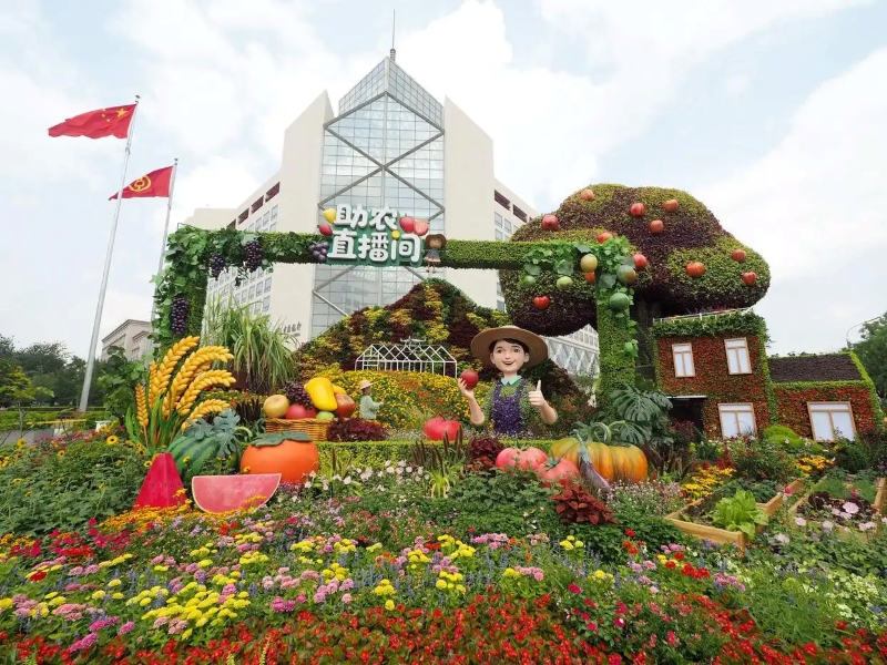 Жапонға қарсы соғыстағы жеңістің 80 жылдығына орай Бейжіңдегі Чанань даңғылының бойында тақырыптық гүлзар қойылды