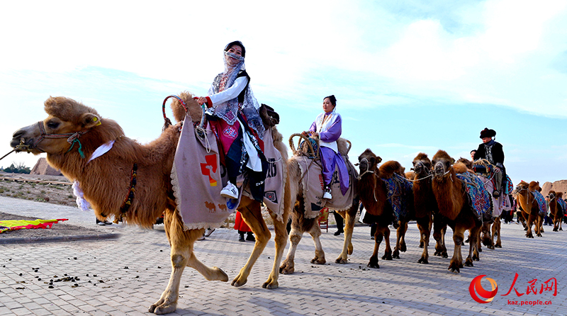 Ганьсудың Гаотай ауданына Жібек жолын бойлаған түйе керуені келді