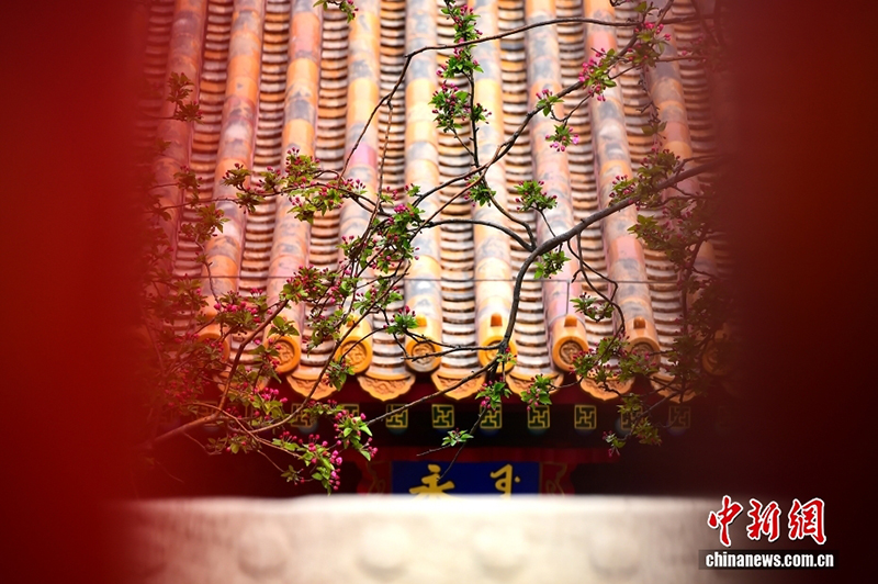 100 жылдық мерейтойына орай Гугун музейінің төрт мезгілдегі сұлулығын тамашалаңыз