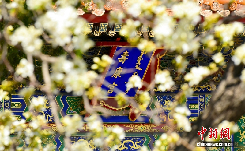 100 жылдық мерейтойына орай Гугун музейінің төрт мезгілдегі сұлулығын тамашалаңыз