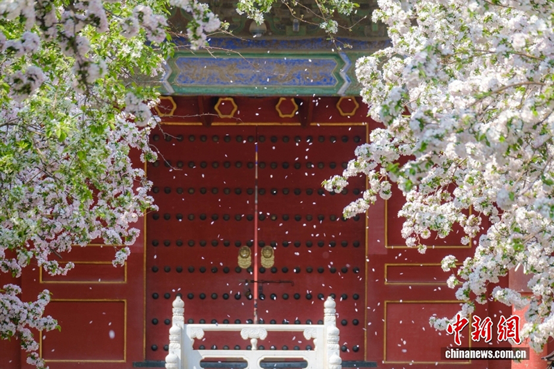 100 жылдық мерейтойына орай Гугун музейінің төрт мезгілдегі сұлулығын тамашалаңыз