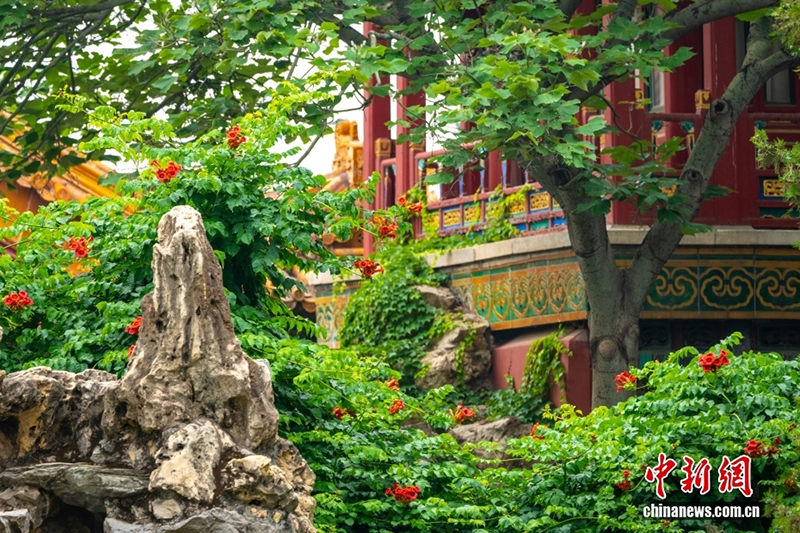 100 жылдық мерейтойына орай Гугун музейінің төрт мезгілдегі сұлулығын тамашалаңыз