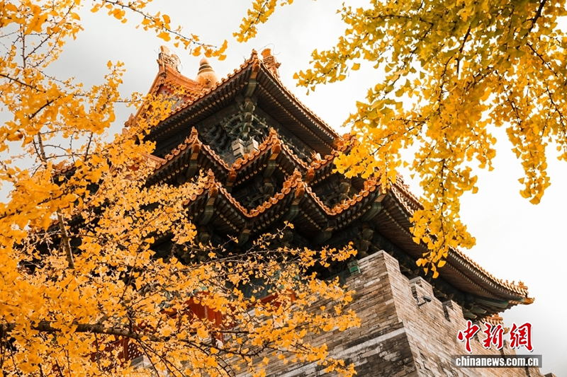 100 жылдық мерейтойына орай Гугун музейінің төрт мезгілдегі сұлулығын тамашалаңыз