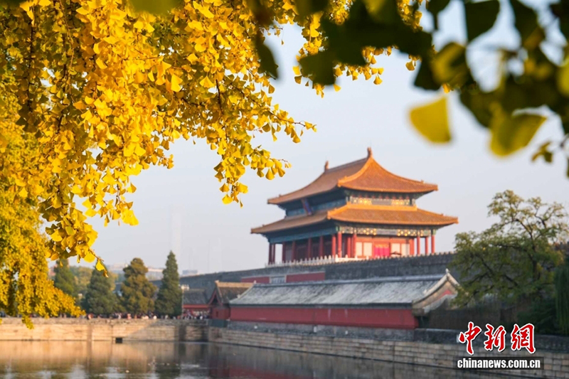 100 жылдық мерейтойына орай Гугун музейінің төрт мезгілдегі сұлулығын тамашалаңыз