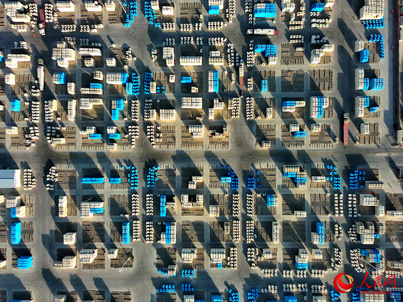 Шыңжаңның Алар қаласында жаңа мақталар қамбаға кірді